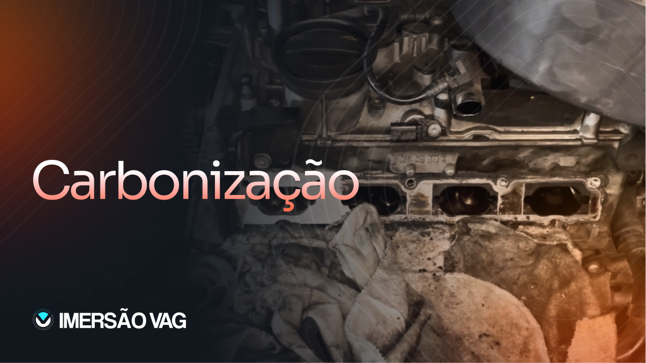 CARBONIZACAO